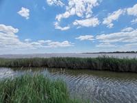 125. Aigues-Mortes &ndash; &copy; Sophie Hof (Eberhardt TRAVEL)