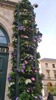Blumenschmuck in Orléans