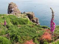 am Cap Frehel &ndash; &copy; Jürgen Schmeißer (Eberhardt TRAVEL)