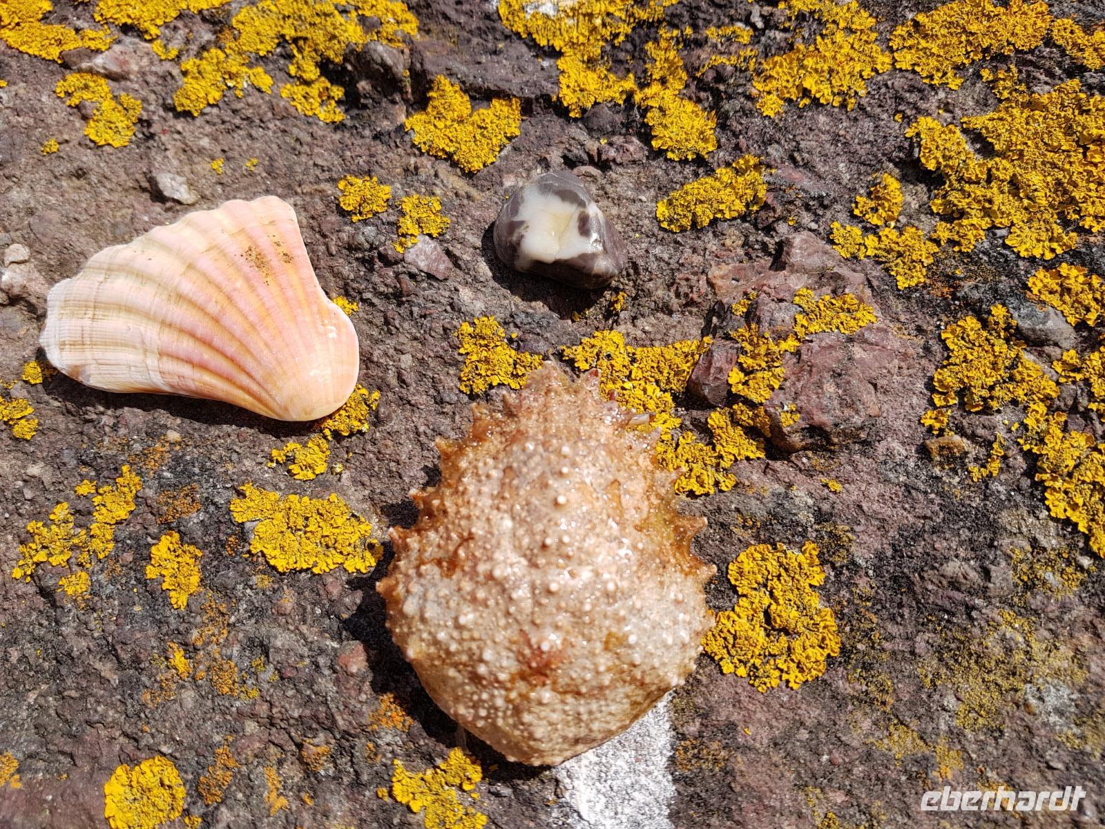 Jersey &ndash; &copy; Beate Schroedter (Eberhardt TRAVEL)