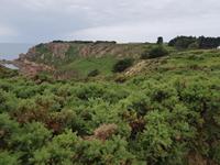 Jersey &ndash; &copy; Beate Schroedter (Eberhardt TRAVEL)