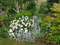 Jersey, Grey Gables &ndash; &copy; Beate Schroedter (Eberhardt TRAVEL)