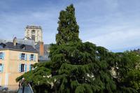2.Tag, Le Mans  &ndash; &copy; Gabriele Sauer (Eberhardt TRAVEL)