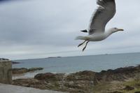 9.Tag, St. Malo  &ndash; &copy; Gabriele Sauer (Eberhardt TRAVEL)