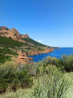 Esterel Küste &ndash; &copy; Kathrin Bock Leao (Eberhardt TRAVEL)