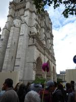 40BlickAufNotreDameMitBlume &ndash; &copy; Alexandra Jordan (Eberhardt TRAVEL)