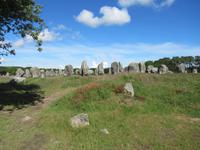 Carnac- Kermario Alignement &ndash; &copy; Maite Floris-Moser (Eberhardt TRAVEL)