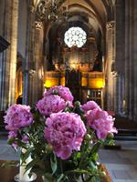 Thomaskirche &ndash; &copy; Peter Großer (Eberhardt TRAVEL)