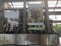 Les Machines &ndash; &copy; Roswitha Zytowski (Eberhardt TRAVEL)