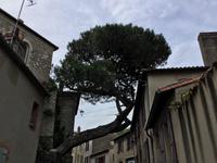 Naturdenkmal in Clisson &ndash; &copy; Roswitha Zytowski (Eberhardt TRAVEL)