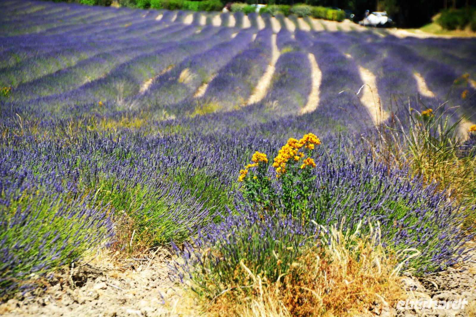 Farbenpracht &ndash; &copy; Gina Egenolf (Eberhardt TRAVEL)