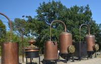 vor der Parfumfabrik &ndash; &copy; Gina Egenolf (Eberhardt TRAVEL)