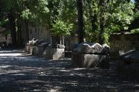 Nekropole von Alyscamps &ndash; &copy; Gina Egenolf (Eberhardt TRAVEL)