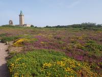 Cap Frehel &ndash; &copy; Beate Schroedter (Eberhardt TRAVEL)