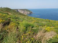 Cap Frehel &ndash; &copy; Beate Schroedter (Eberhardt TRAVEL)