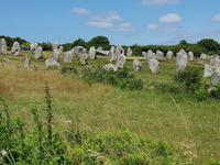 Carnac, Le Menec