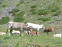 Vall de Núria &ndash; &copy; Barbara Mihut (Eberhardt TRAVEL)
