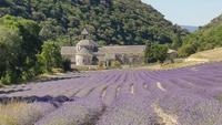 Abbaye de Sénanque &ndash; &copy; Alexandre de Bordelius (Eberhardt TRAVEL)