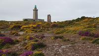 Cap Fréhel &ndash; &copy; Beate Schroedter (Eberhardt TRAVEL)