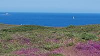 Cap Sizun &ndash; &copy; Beate Schroedter (Eberhardt TRAVEL)