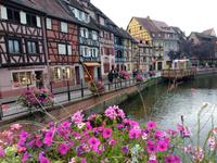 Colmar &ndash; &copy; Patrick Schneider (Eberhardt TRAVEL)