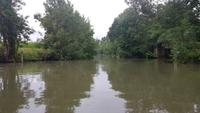 Marais Poitevin &ndash; &copy; Beate Schroedter (Eberhardt TRAVEL)