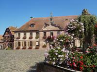 Bergheim