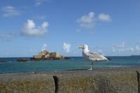  St. Malò, Fort National &ndash; &copy; Gabriele Sauer (Eberhardt TRAVEL)