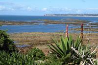 Jersey  &ndash; &copy; Gabriele Sauer (Eberhardt TRAVEL)