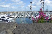 Guernsey, Hafen &ndash; &copy; Gabriele Sauer (Eberhardt TRAVEL)