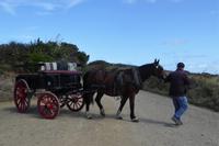 auf Sark &ndash; &copy; Gabriele Sauer (Eberhardt TRAVEL)