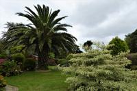 Guernsey, der Garten von Eddi Foxen &ndash; &copy; Gabriele Sauer (Eberhardt TRAVEL)