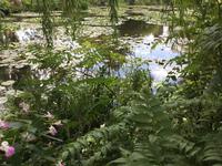 Giverny &ndash; &copy; Roswitha Zytowski (Eberhardt TRAVEL)