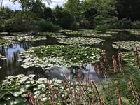 Giverny &ndash; &copy; Roswitha Zytowski (Eberhardt TRAVEL)