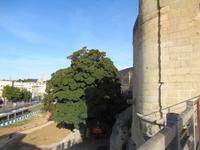 Caen &ndash; &copy; Maite Floris-Moser (Eberhardt TRAVEL)
