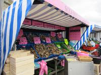 Cancale -der Austernmarkt &ndash; &copy; Maite Floris-Moser (Eberhardt TRAVEL)