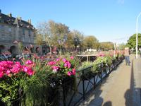 Quimper &ndash; &copy; Maite Floris-Moser (Eberhardt TRAVEL)