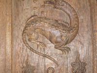 Salamander