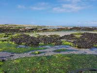 Le Croisic (6) &ndash; &copy; Jörg Nesse (Eberhardt TRAVEL)