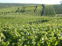 Eguisheim &ndash; &copy; Kerstin Hugel (Eberhardt TRAVEL)