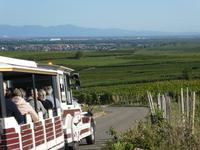 Eguisheim &ndash; &copy; Kerstin Hugel (Eberhardt TRAVEL)