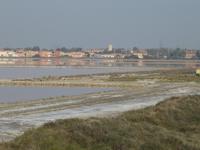 Saline-de-Giraud &ndash; &copy; Barbara Mihut (Eberhardt TRAVEL)