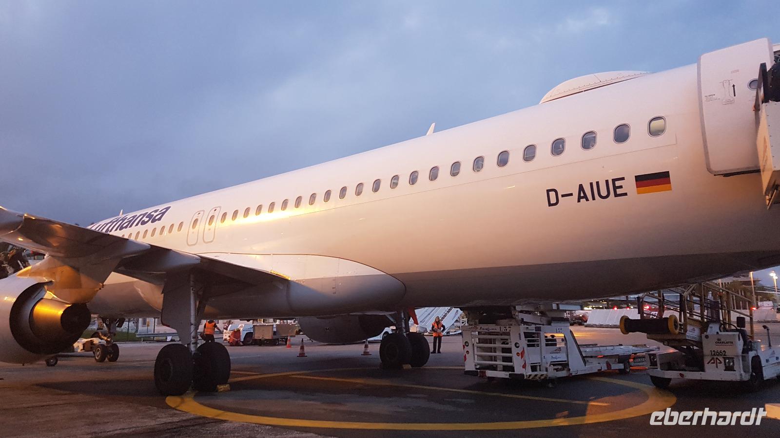 Heimflug &ndash; &copy; Maja Petermann (Eberhardt TRAVEL)