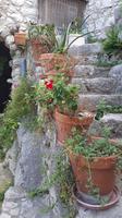 Peillon &ndash; &copy; Maja Petermann (Eberhardt TRAVEL)
