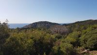 Ausblick im Esterelgebirge