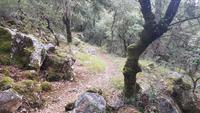 Wanderweg nach St. Agnes &ndash; &copy; Maja Petermann (Eberhardt TRAVEL)