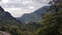 Blick zurück in Richtung Gorbio &ndash; &copy; Maja Petermann (Eberhardt TRAVEL)
