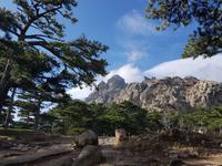 Col de Bavella &ndash; &copy; Petra Hady (Eberhardt TRAVEL)