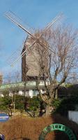 Moulin de la Galette &ndash; &copy; Alexandre de Bordelius (Eberhardt TRAVEL)