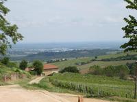 Beaujolais &ndash; &copy; Barbara Mihut (Eberhardt TRAVEL)